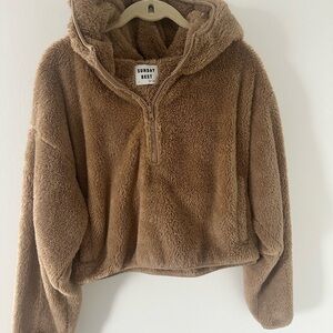 Aritzia Sunday Best Teddy cropped hoodie